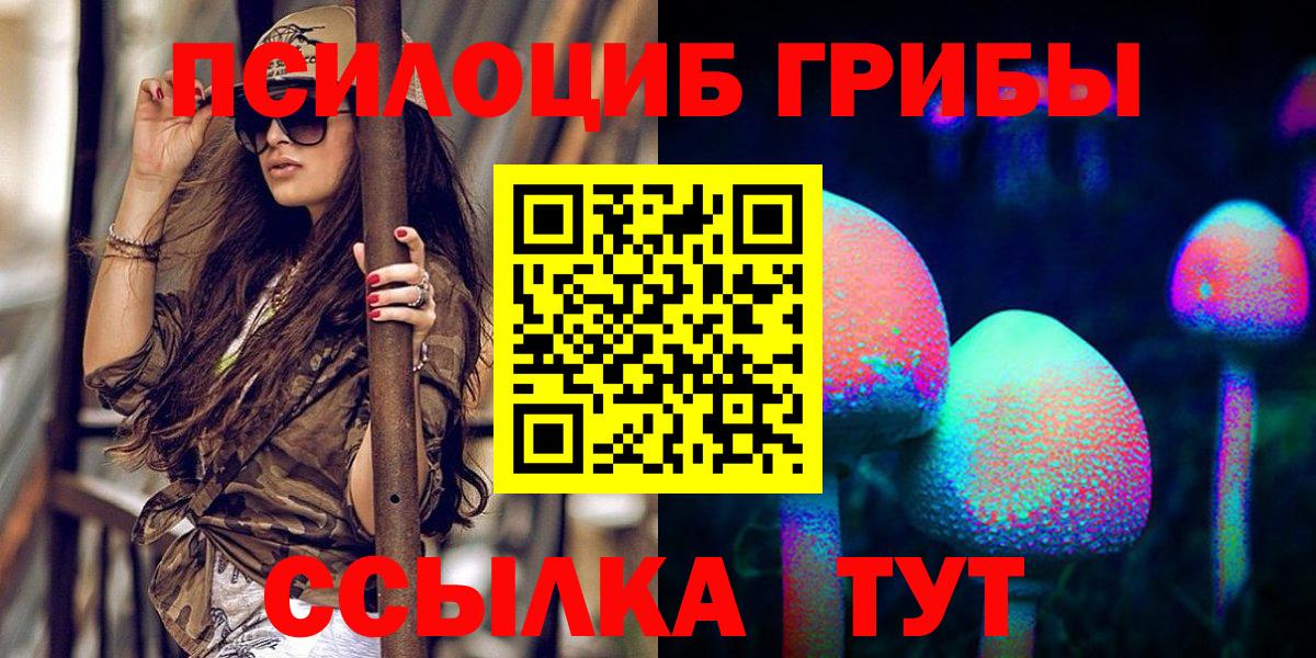 где найти   Псилоцибиновые грибы Psilocybe  Вход с VPN  Котовск 