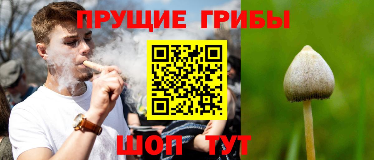 Галлюциногенные грибы Cubensis Котовск